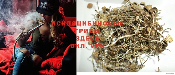 PSILOCYBIN Алексеевка